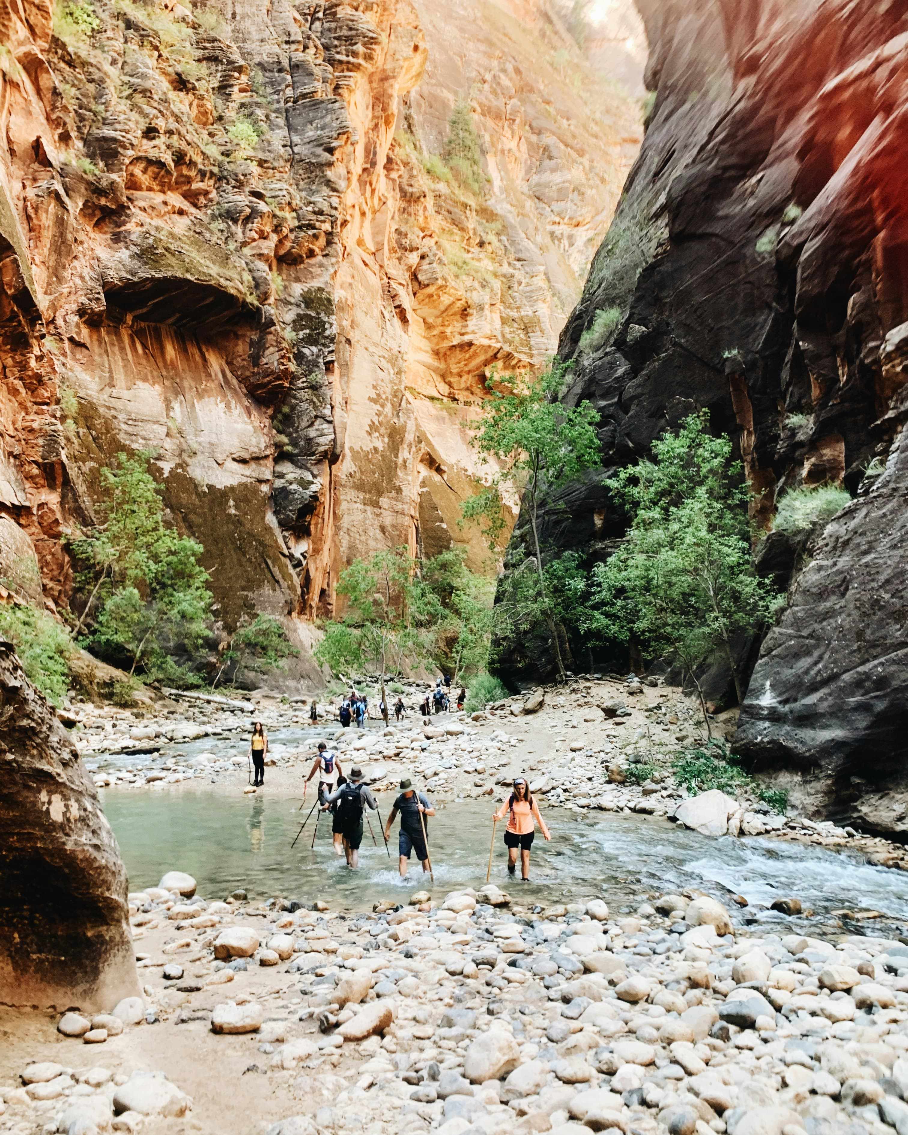 Group hiking in the mountains